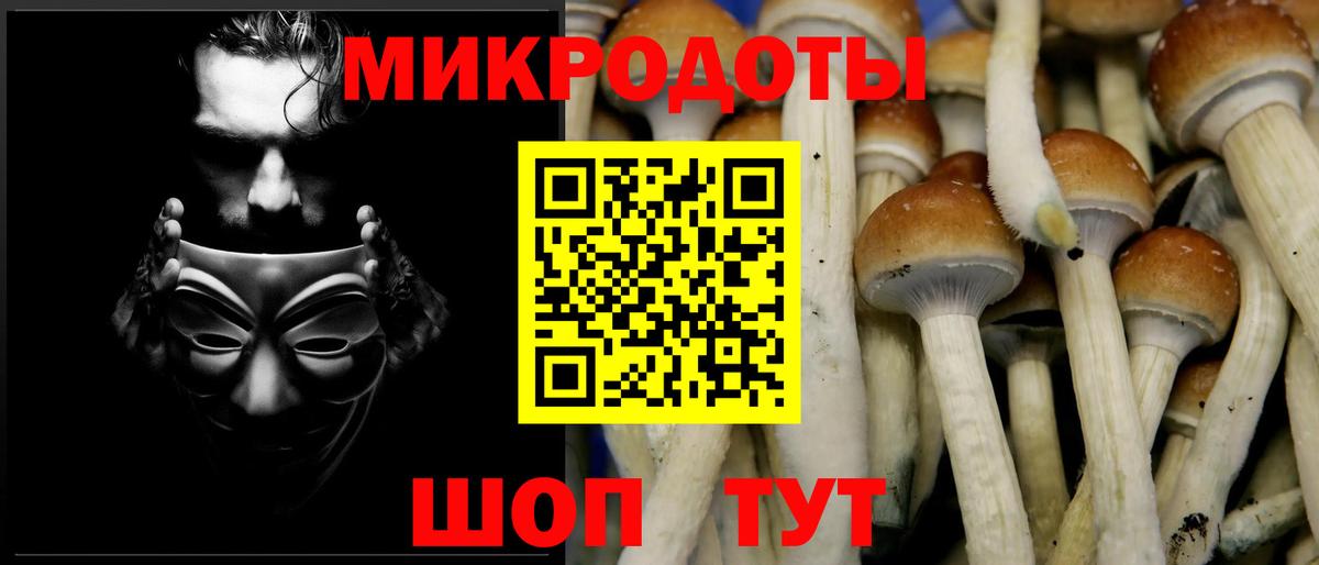 Галлюциногенные грибы MAGIC MUSHROOMS Железноводск